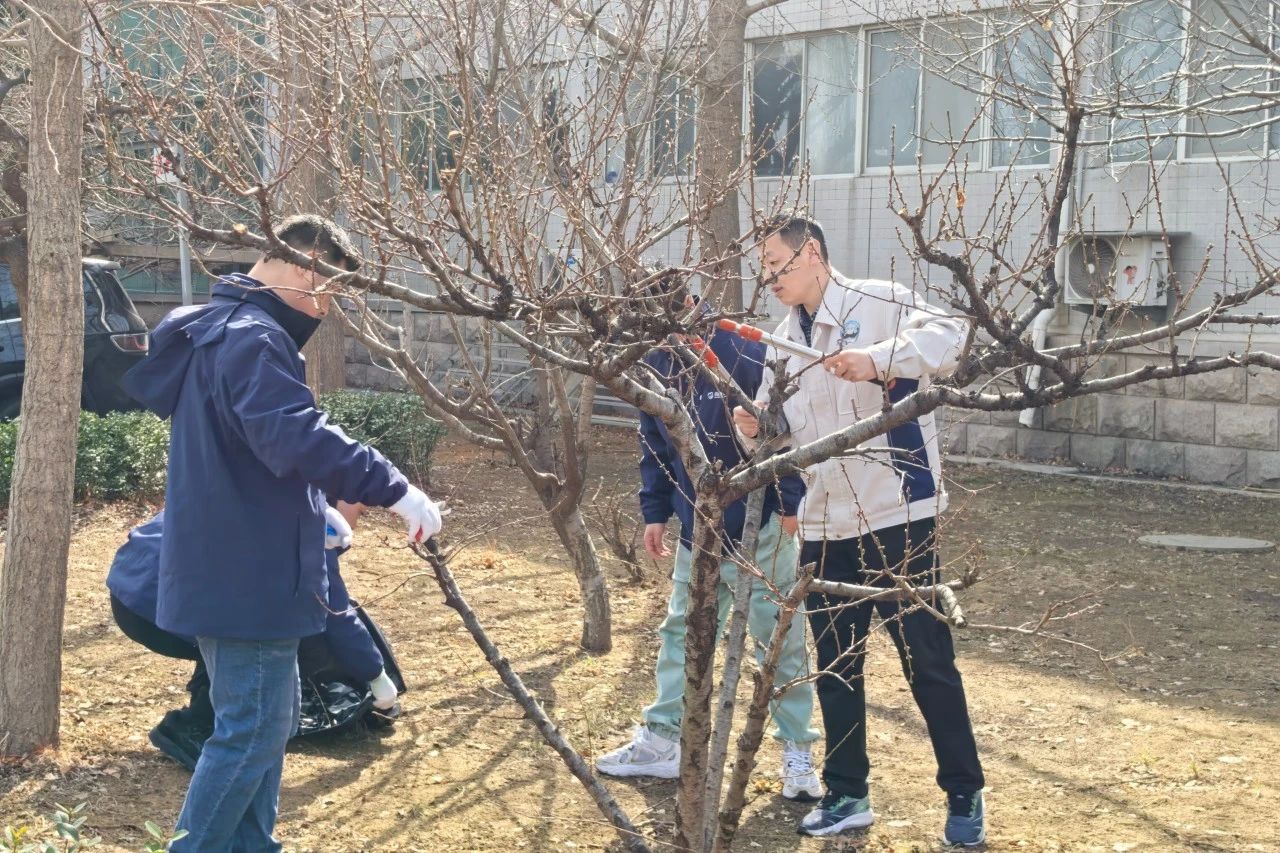 微信图片_20250313150539.jpg